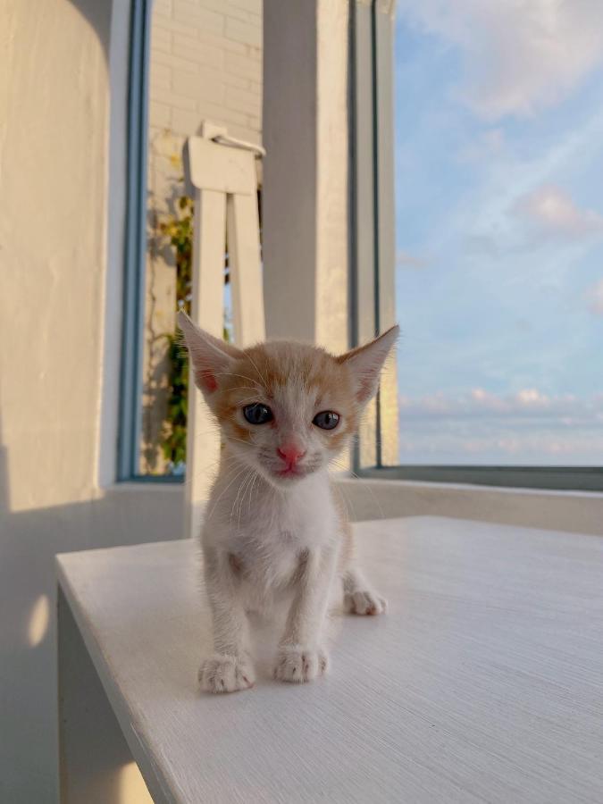 Kenting Met Hi Inn Cape Eluanbi Dış mekan fotoğraf